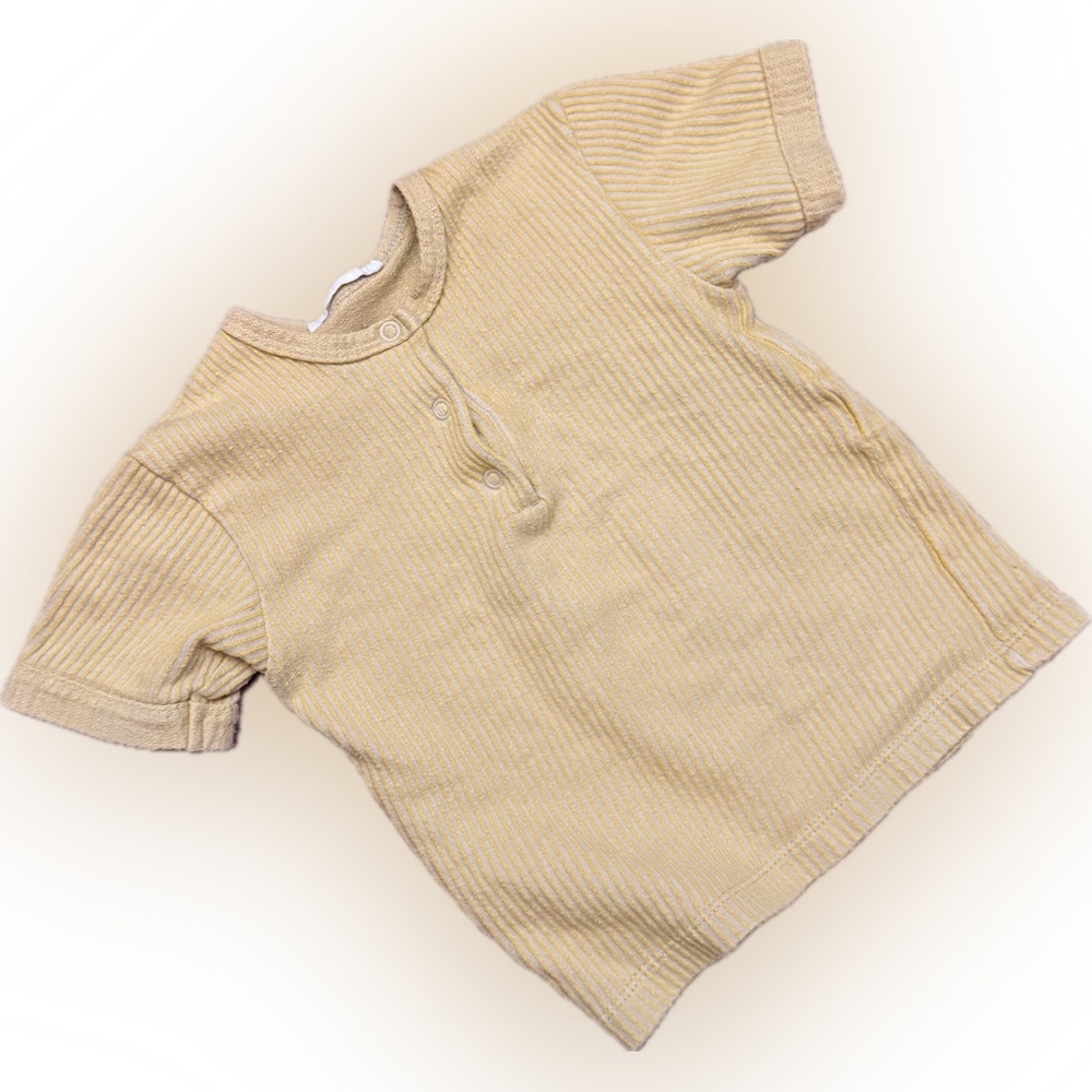 Fin & Vince Shirt